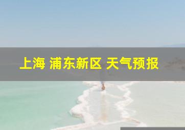 上海 浦东新区 天气预报